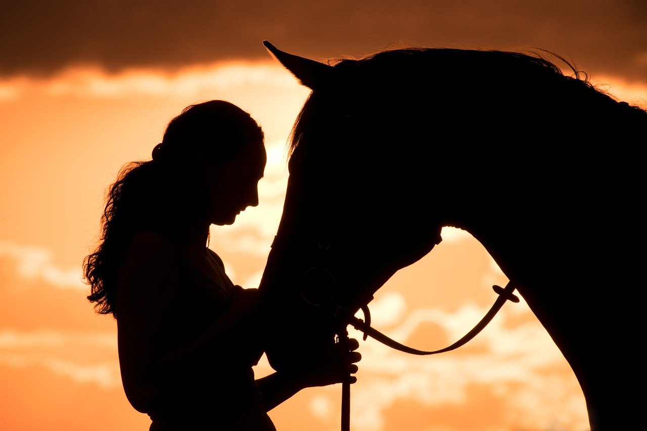 10 Affectionate Ways A Horse Shows it Loves You