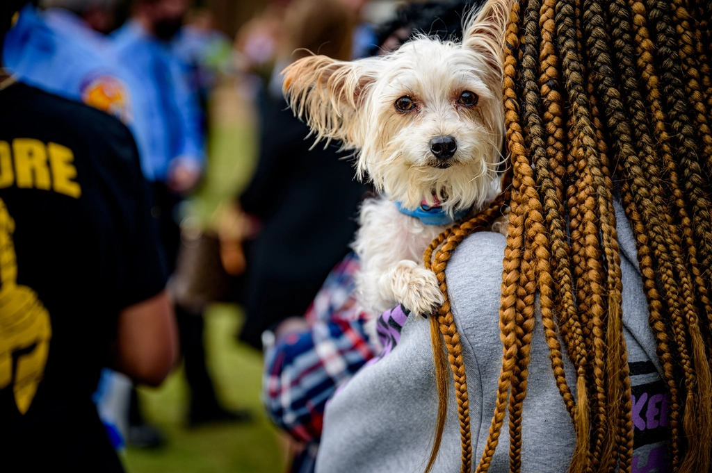 7. Unique and Diverse Personalities (image credits: rawpixel)