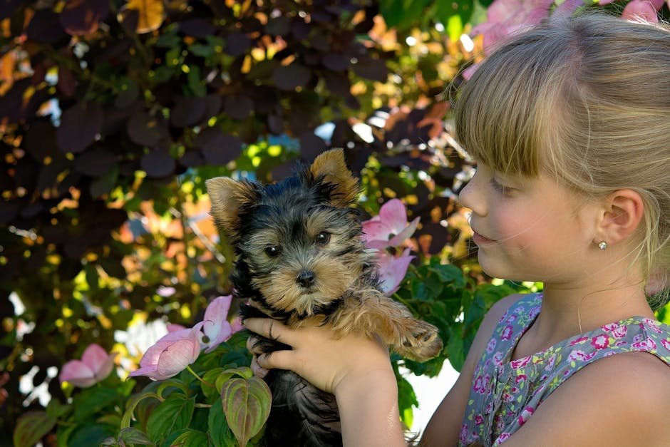 8. Heartwarming Affection (image credits: pexels)