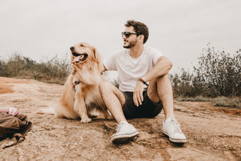 Golden Retriever: The Friendly Fellow Traveler