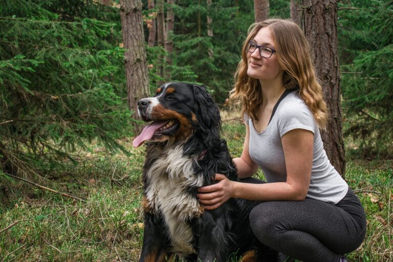Bernese Mountain Dog: The Gentle Giant