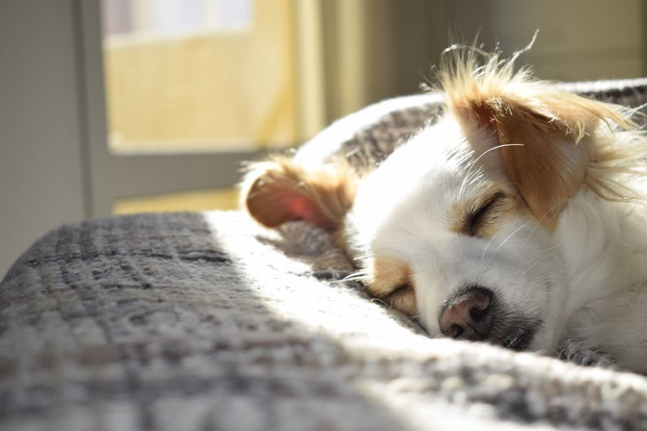 6. Sleeping Like a Baby (image credits: pexels)