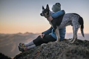 8 Inspirational Life Lessons Taught By The Australian Cattle Dog