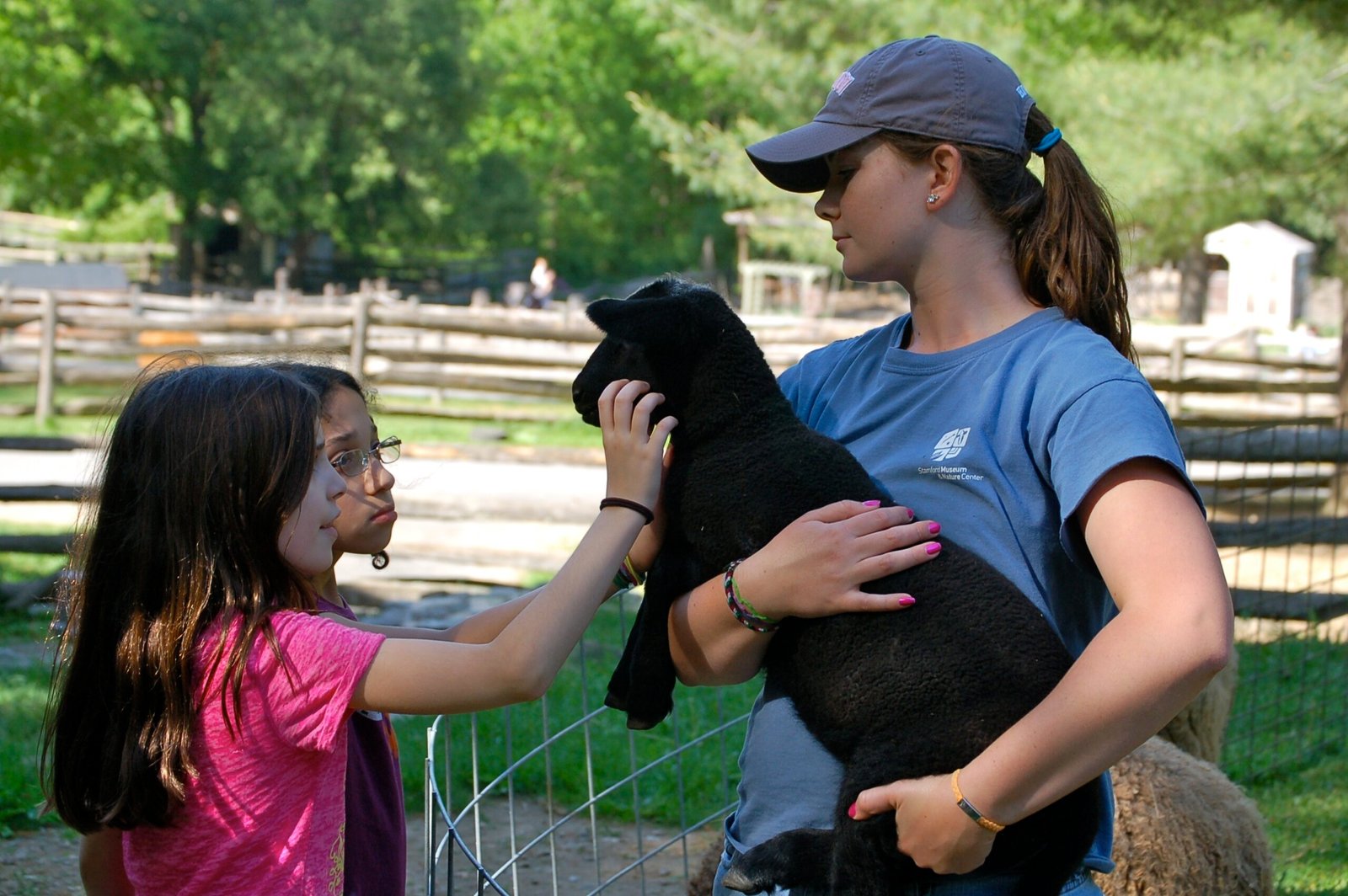 Gentle Giants: The Appeal of Pet Goats (image credits: wikimedia)