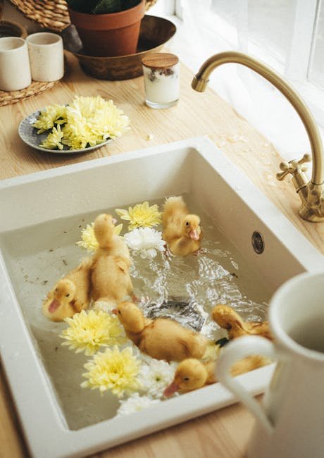 Feathered Friends: Ducks as Delightful Pets (image credits: pexels)