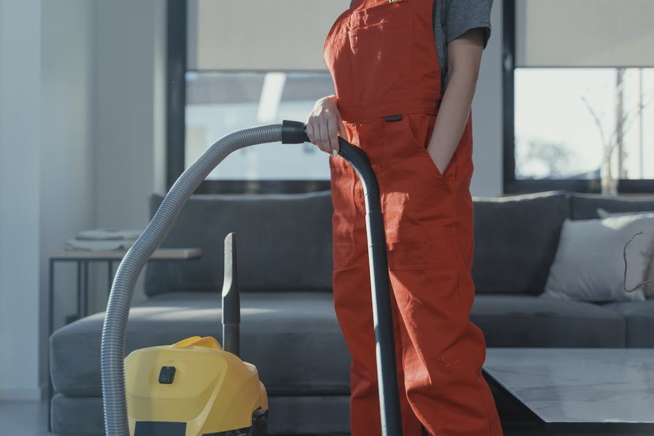 8. Consider Professional Cleaning Services (image credits: pexels)