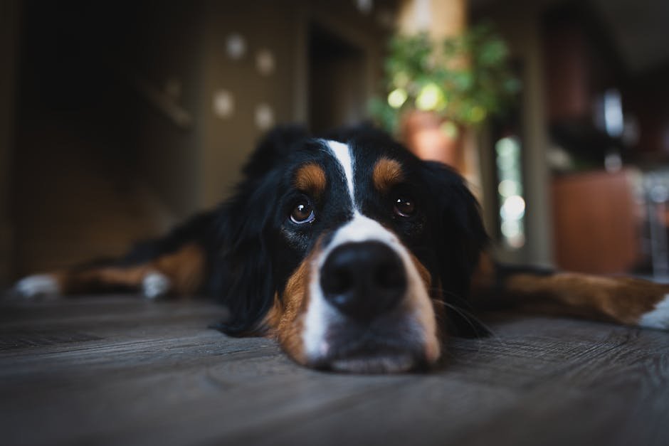 Recognizing Signs of Stress and Anxiety (image credits: pexels)