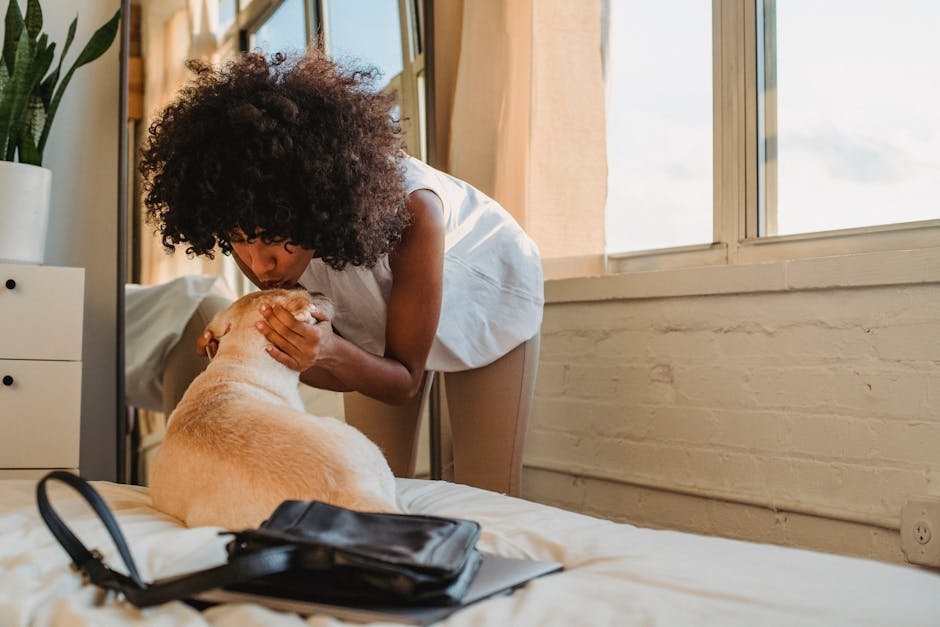 Labrador Retriever: The Ultimate People-Pleaser (image credits: pexels)