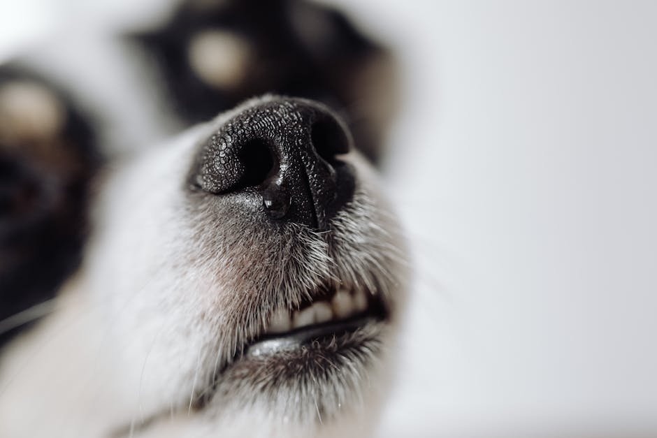 6. Using Strong Fragrances (image credits: pexels)