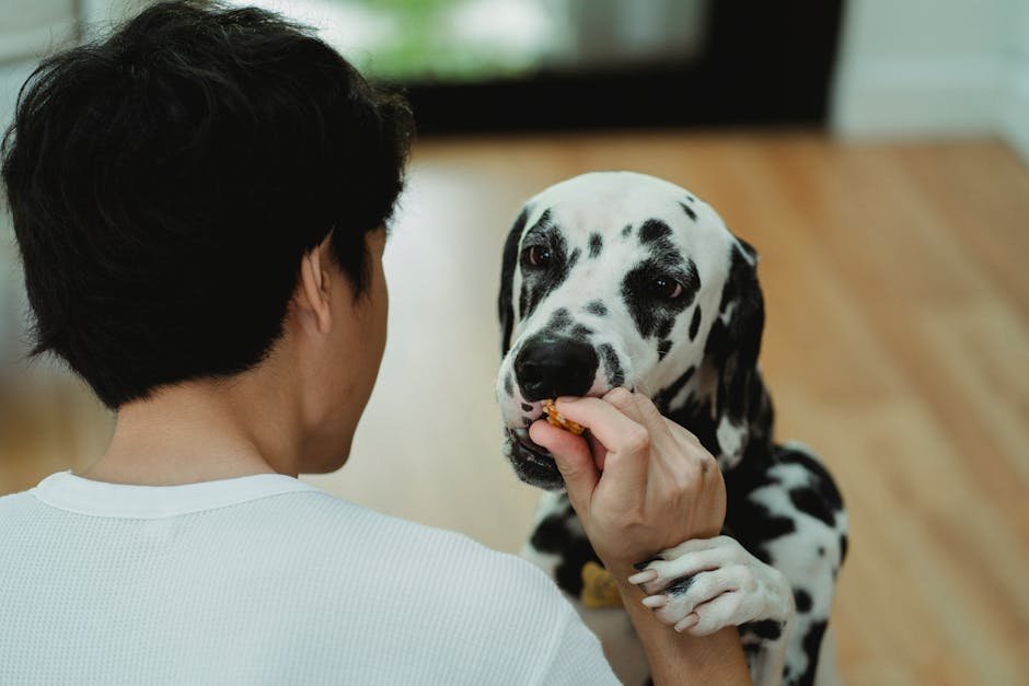 13. Gentle and Positive Reinforcement (image credits: pexels)