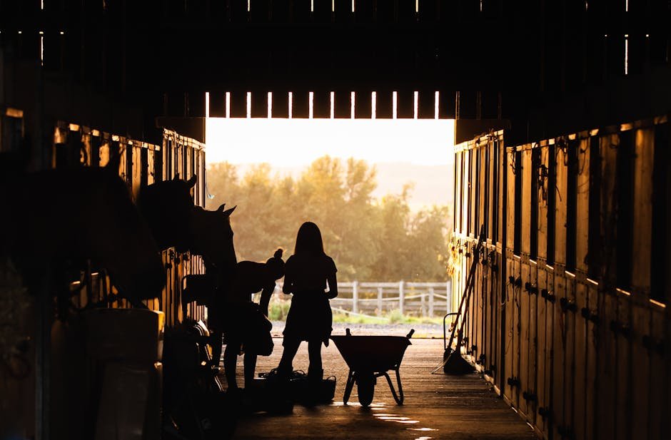 Evening Routine and Final Check (image credits: pexels)