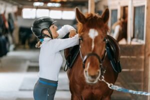 12 Daily Care Routines Every Horse Owner Should Follow