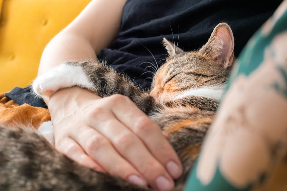 Sleeping Nearby: The Comfort of Proximity (image credits: pexels)