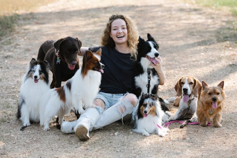 10 Small Dog Breeds Who Get Along Best With Large Dogs