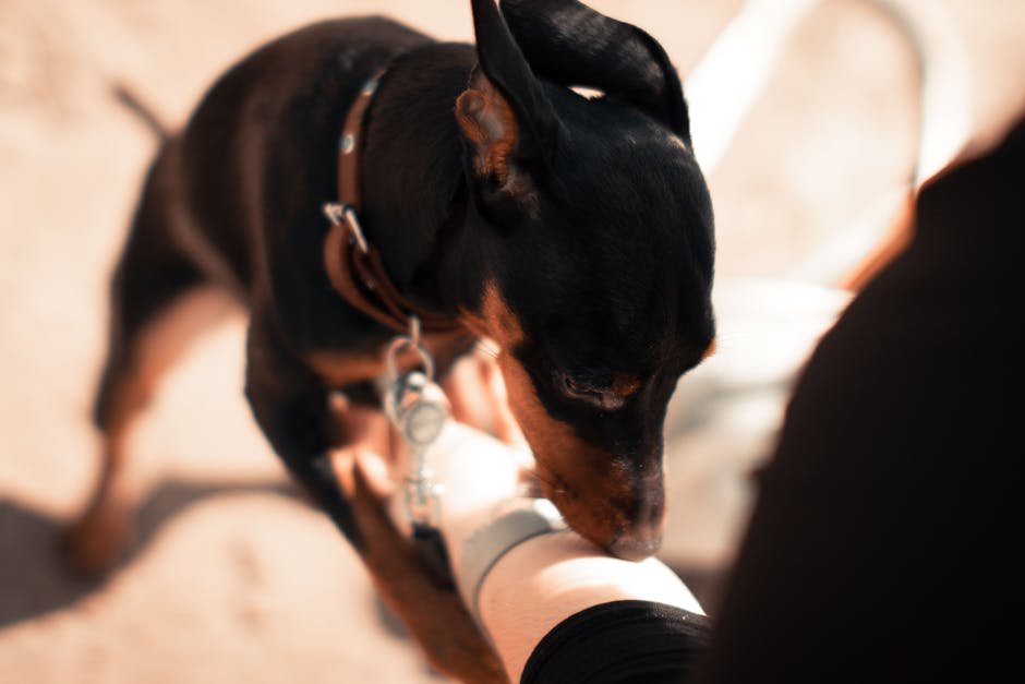 Smelling Emotional Changes (image credits: pexels)