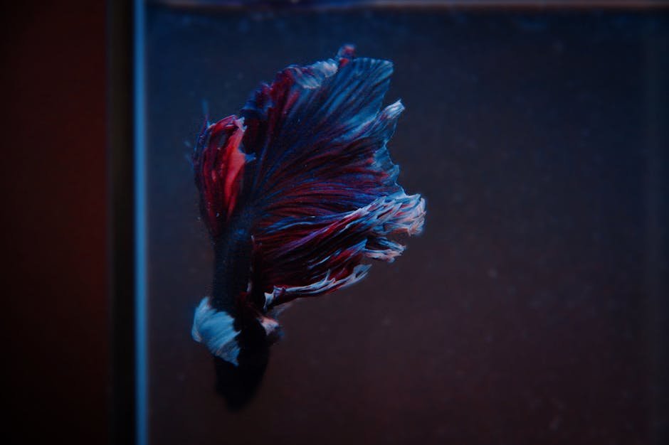 2. Active Swimming Behavior (image credits: pexels)