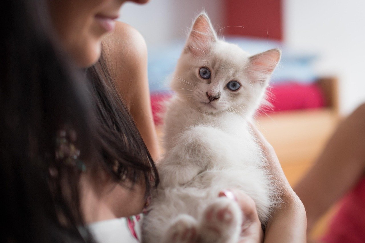 1. Gentle Temperament (image credits: pixabay)