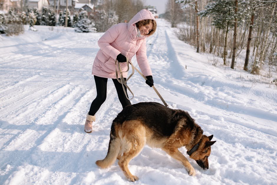 6. Promoting a Healthier Lifestyle (image credits: pexels)