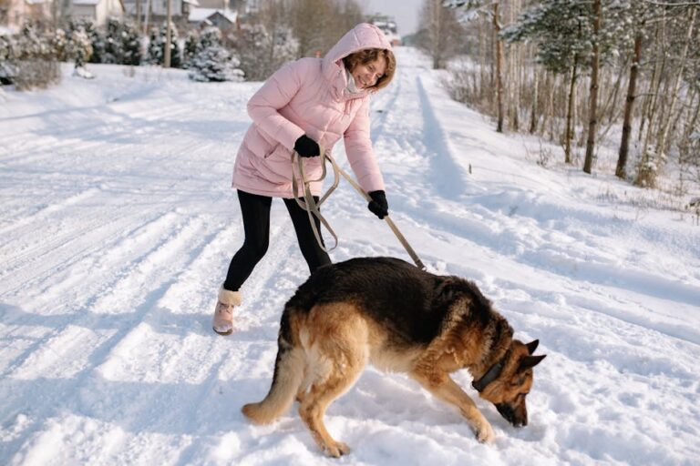 7 Ways Your Dog Can Boost Your Health and Happiness After 50