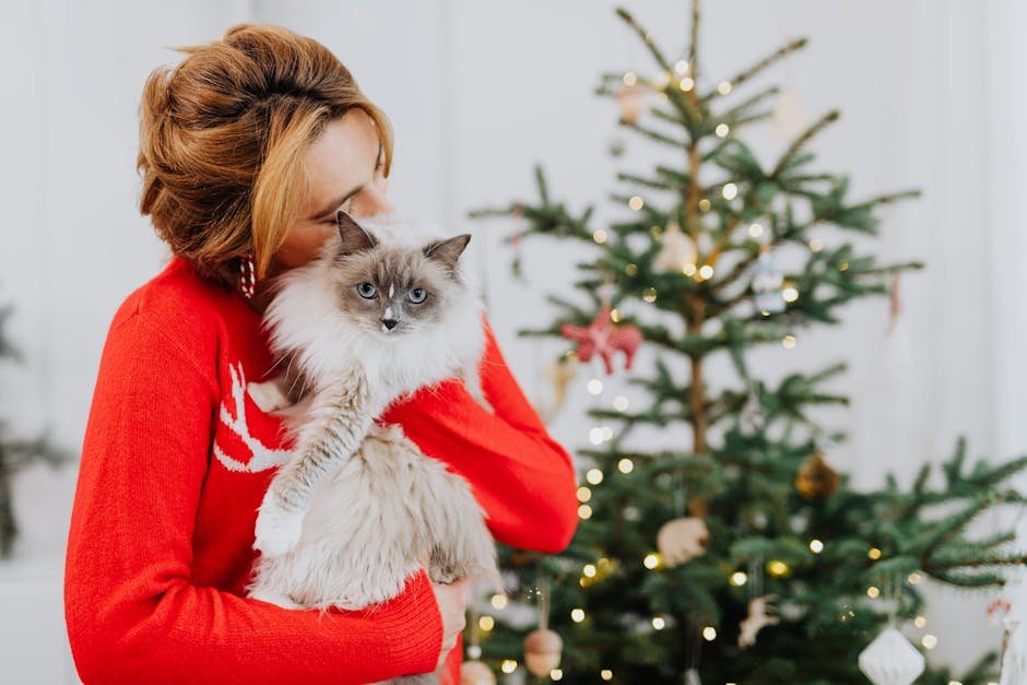 The Social Ragdoll: The Lap Cats (image credits: pexels)