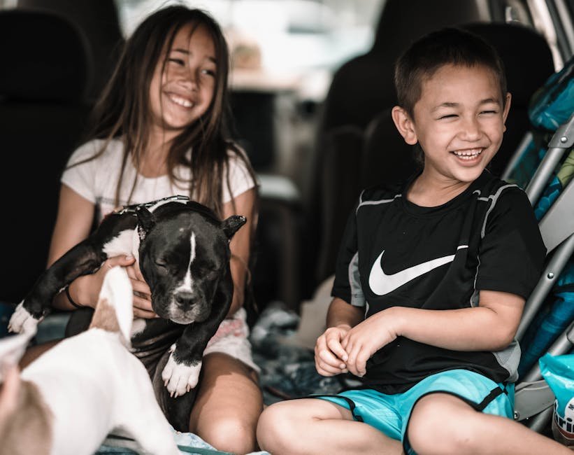 Understanding the Importance of Early Socialization (image credits: pexels)