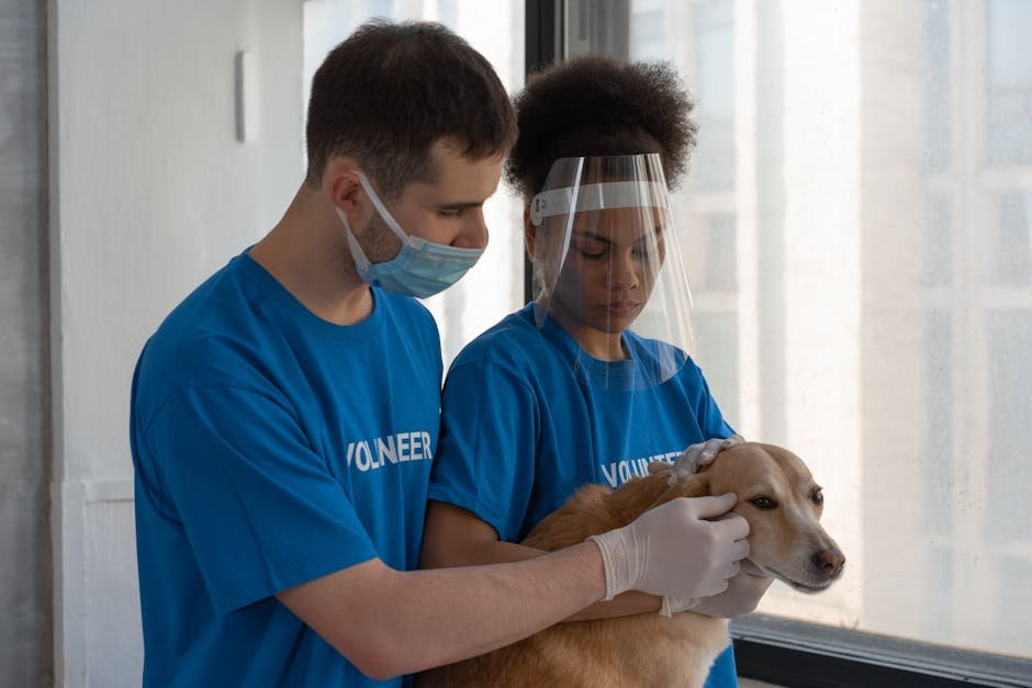 The Human Element: Staff and Volunteers (image credits: pexels)