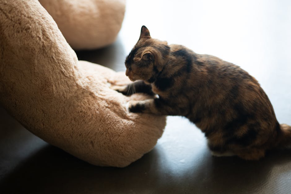 3. The Kneading Ritual (image credits: pexels)