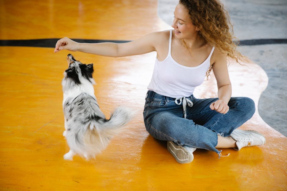 6. Positive Reinforcement and Training (image credits: pexels)