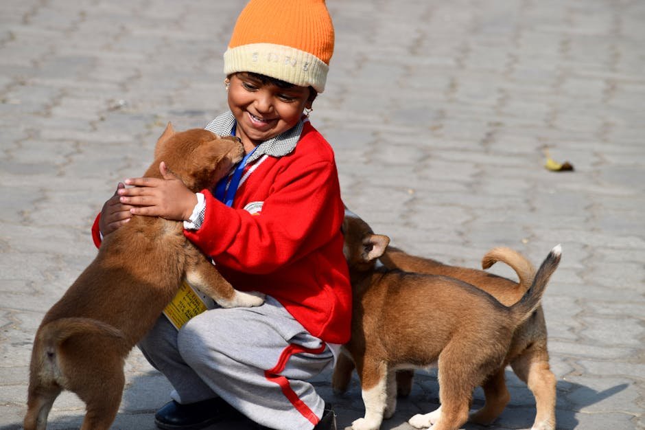 7. Your Emotional Resonance (image credits: pexels)