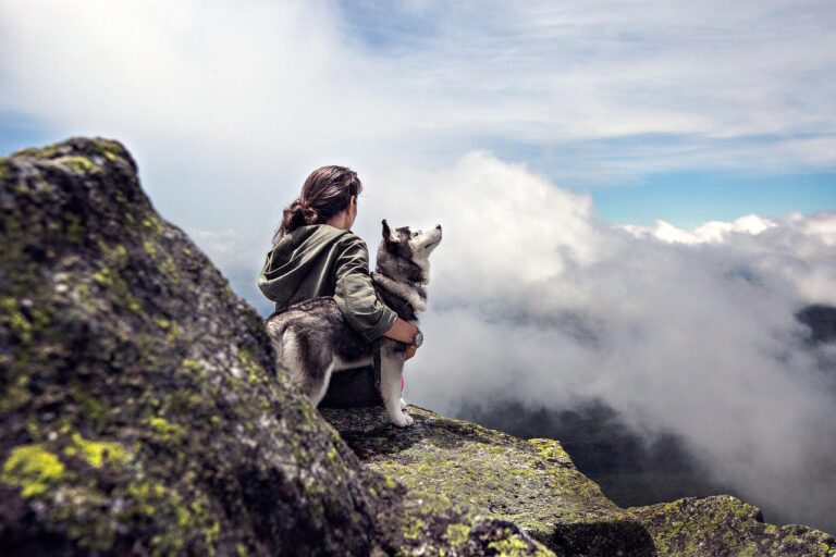 10 Surprising Reasons Why Dogs Choose You As Their Favorite Person