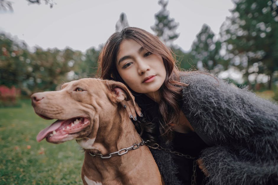 Why Poor Training Turns Pit Bulls into Myths: 6 Steps to Safely Socialize Them with Families