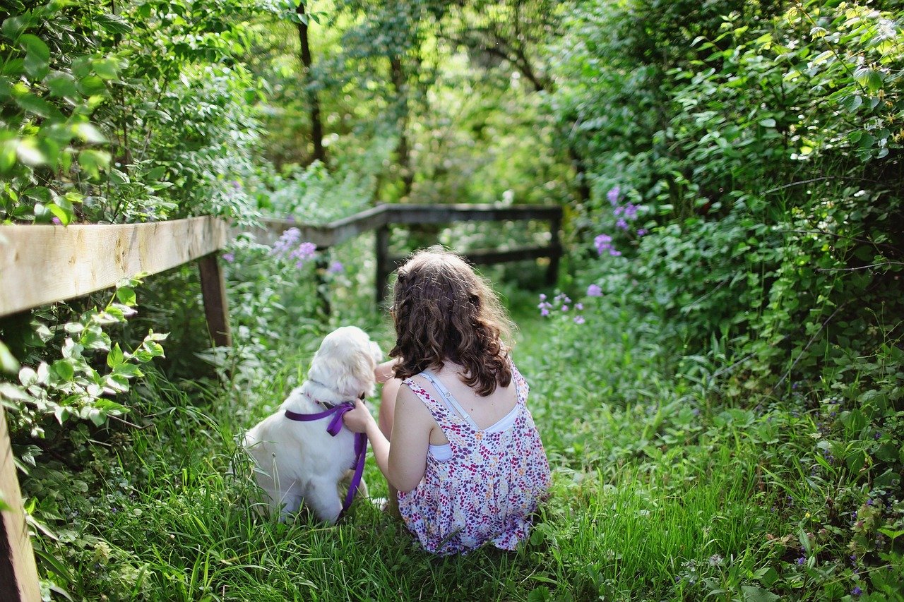 6 Tricks to Keep Your Dog From Peeing on Your Flowers