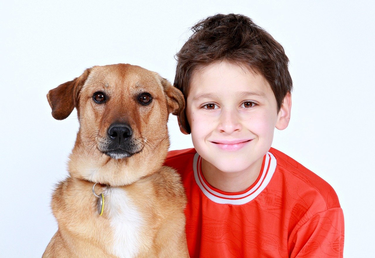 Labrador Retriever (image credits: pixabay)
