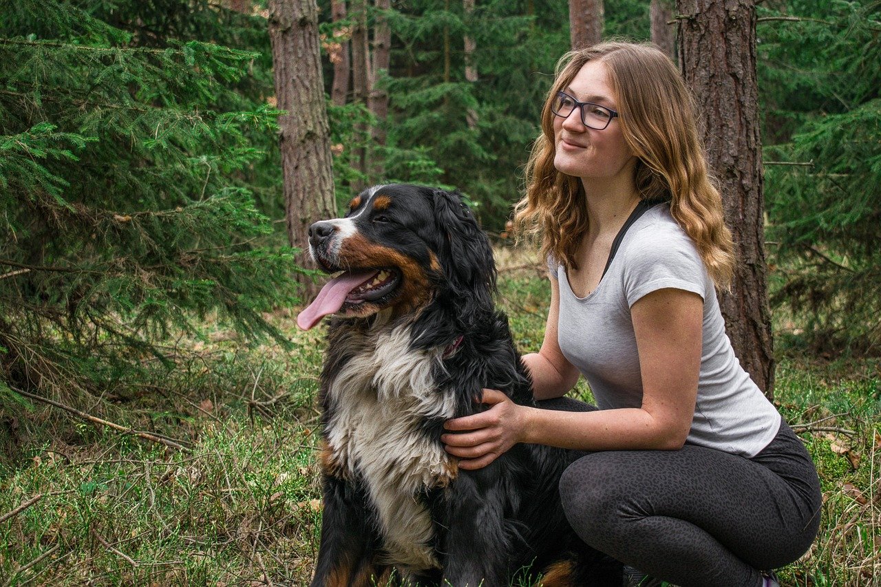 Bernese Mountain Dog (image credits: pixabay)