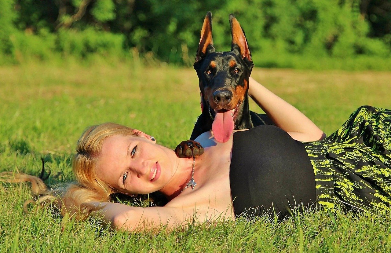 Doberman Pinscher: The Loyal Sentinel (image credits: pixabay)