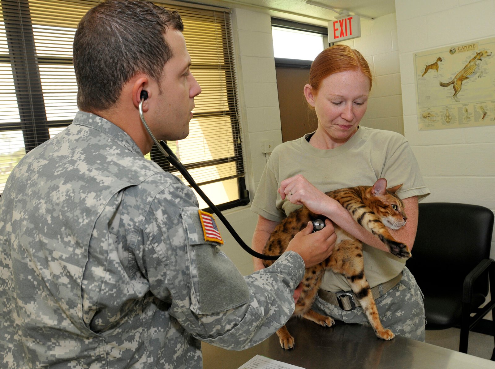 Regular Health Check-Ups (image credits: wikimedia)
