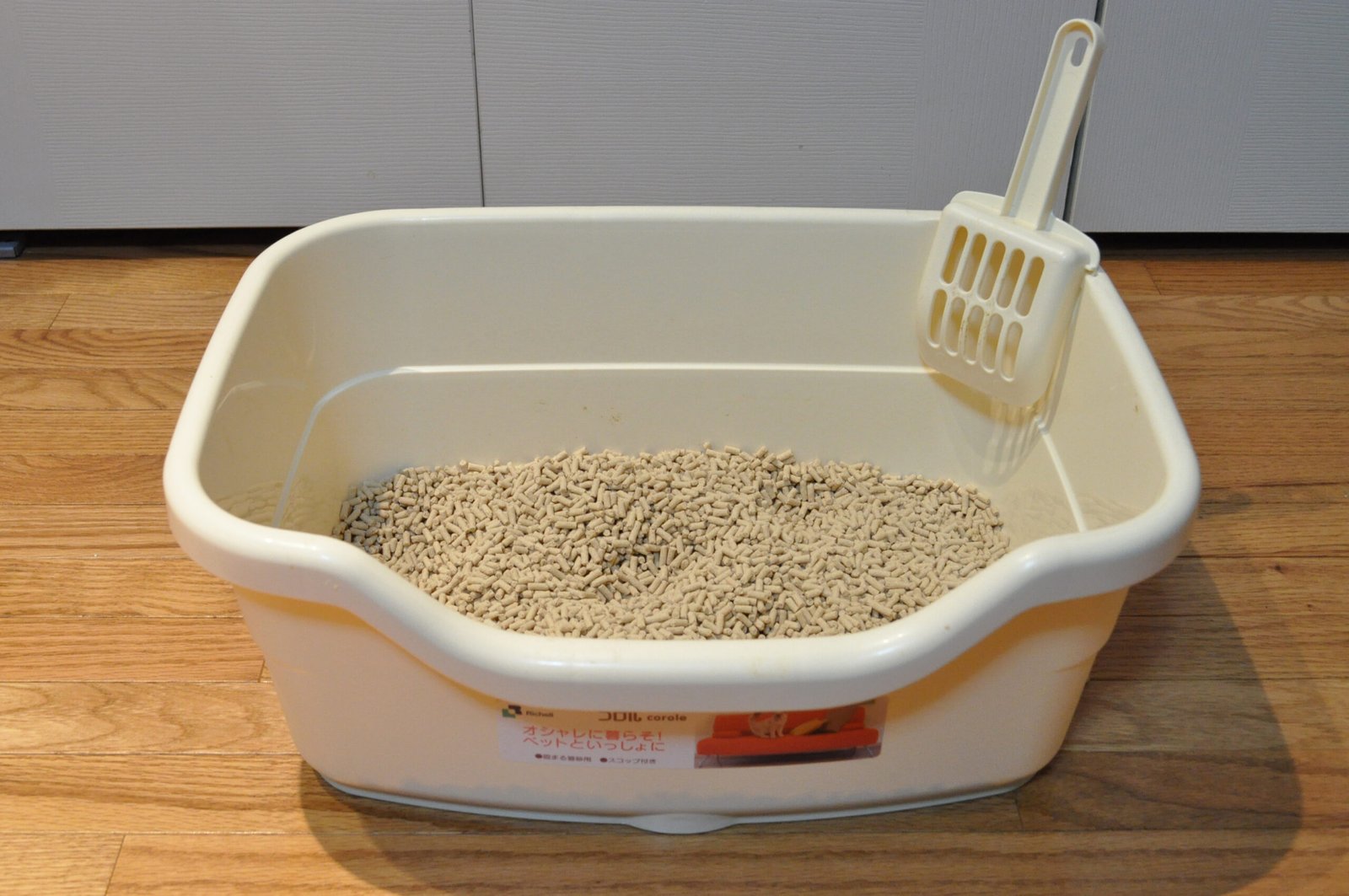 Maintaining a Clean Litter Box (image credits: wikimedia)