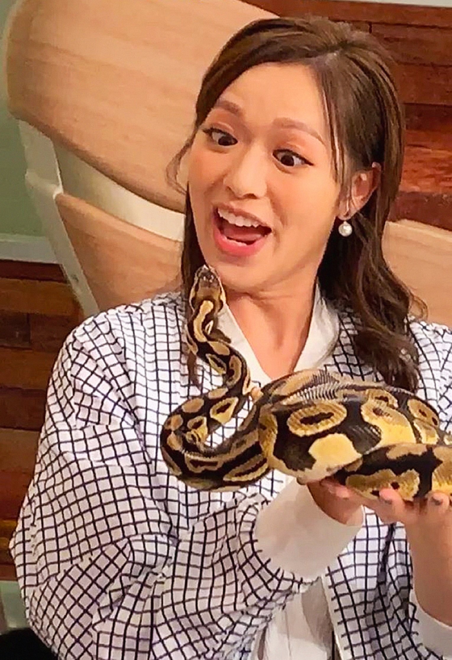 Handling with Care (image credits: wikimedia)