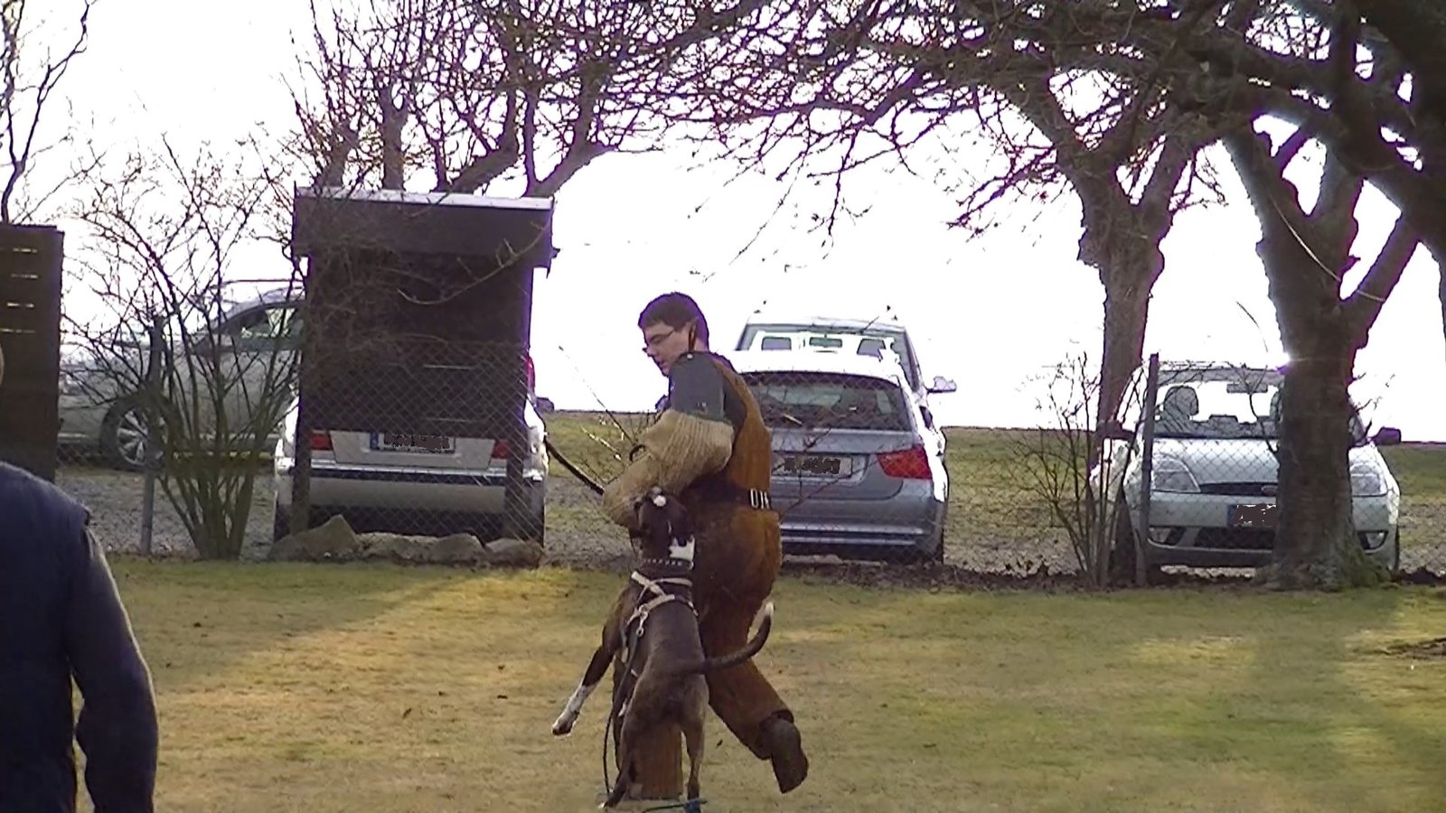 Training: The Importance of Consistency (image credits: wikimedia)