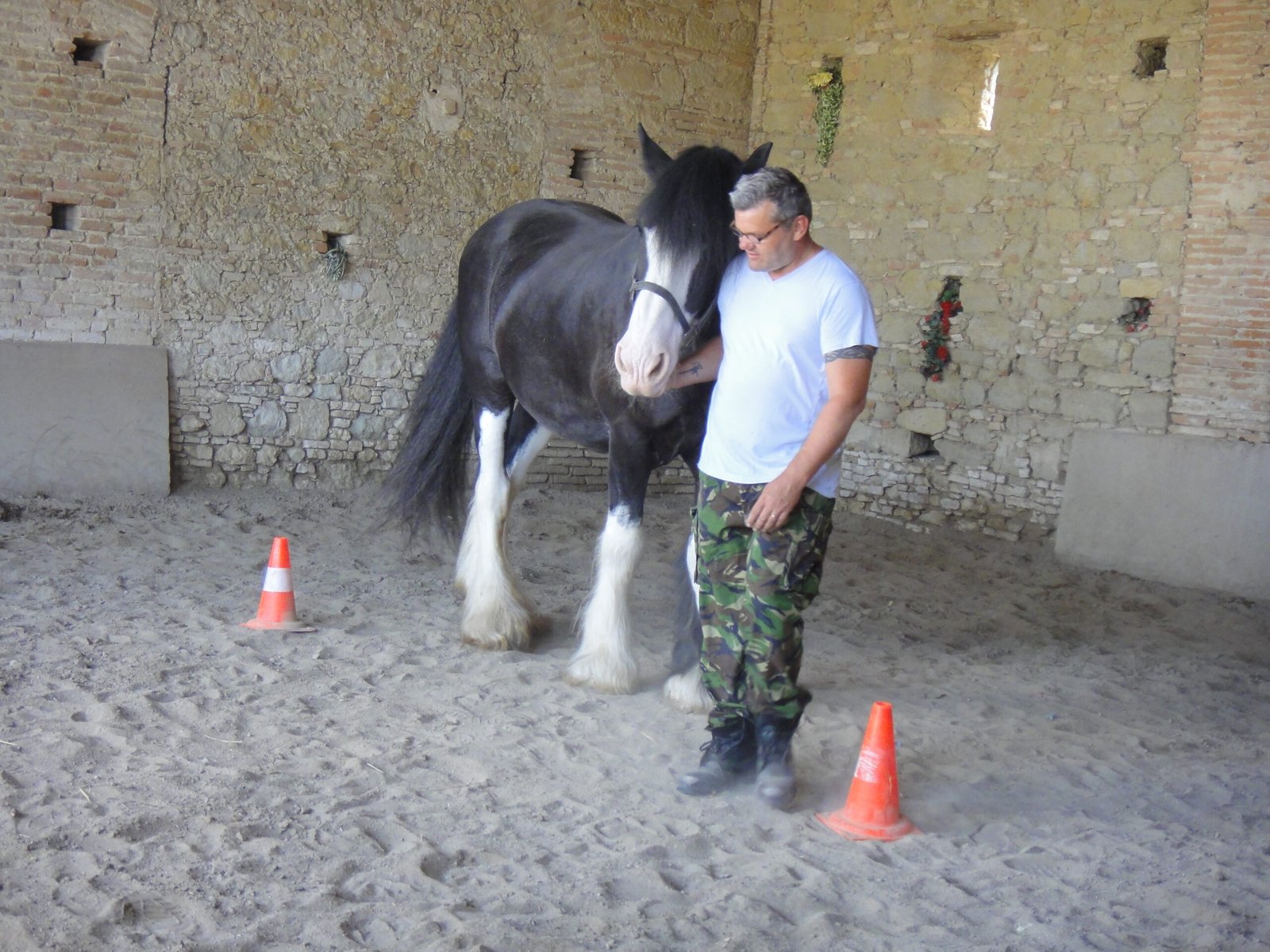 Equine-Assisted Therapy: Healing Through Interaction (image credits: wikimedia)