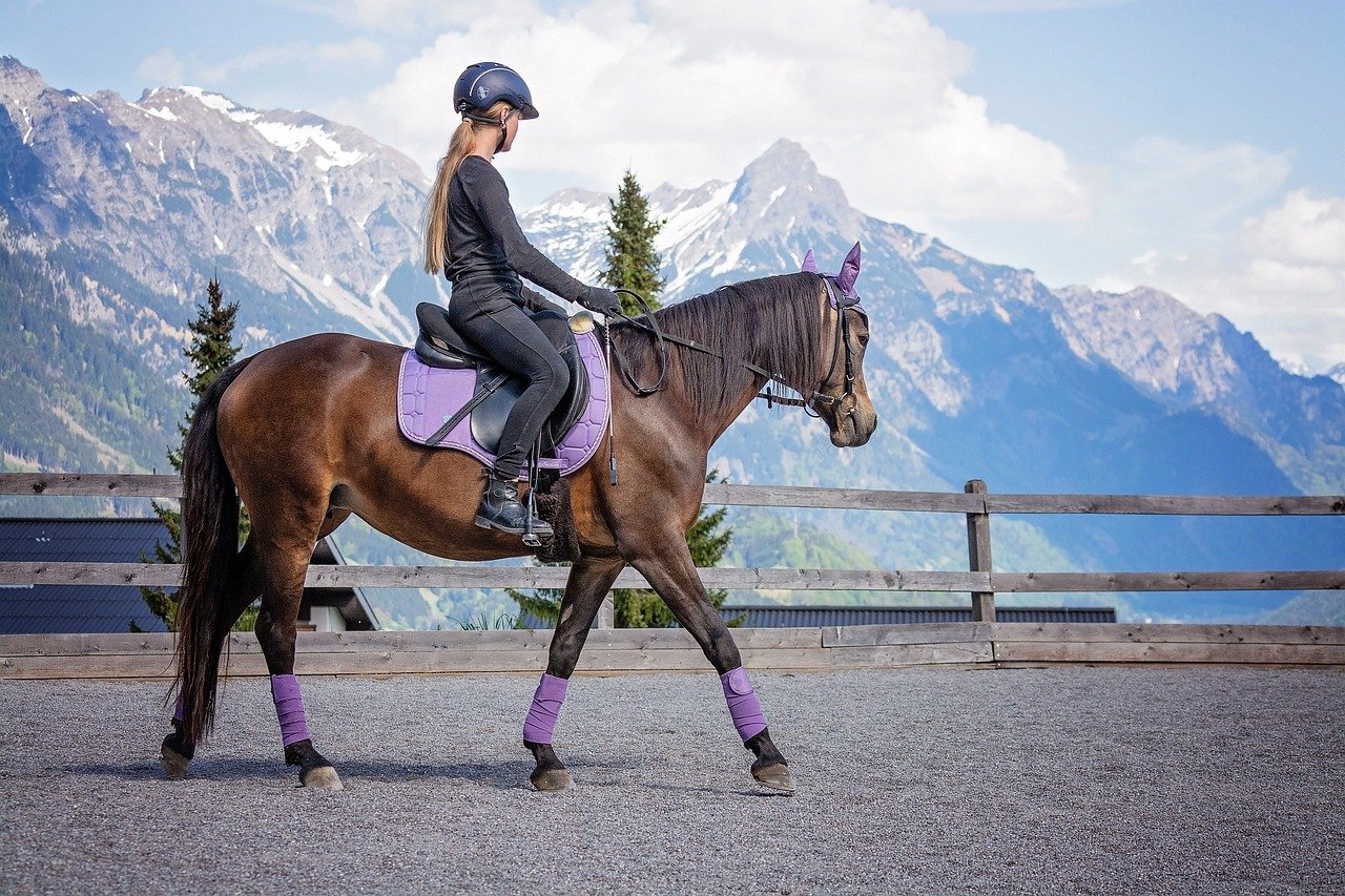 Physical Benefits of Horse Riding (image credits: pixabay)