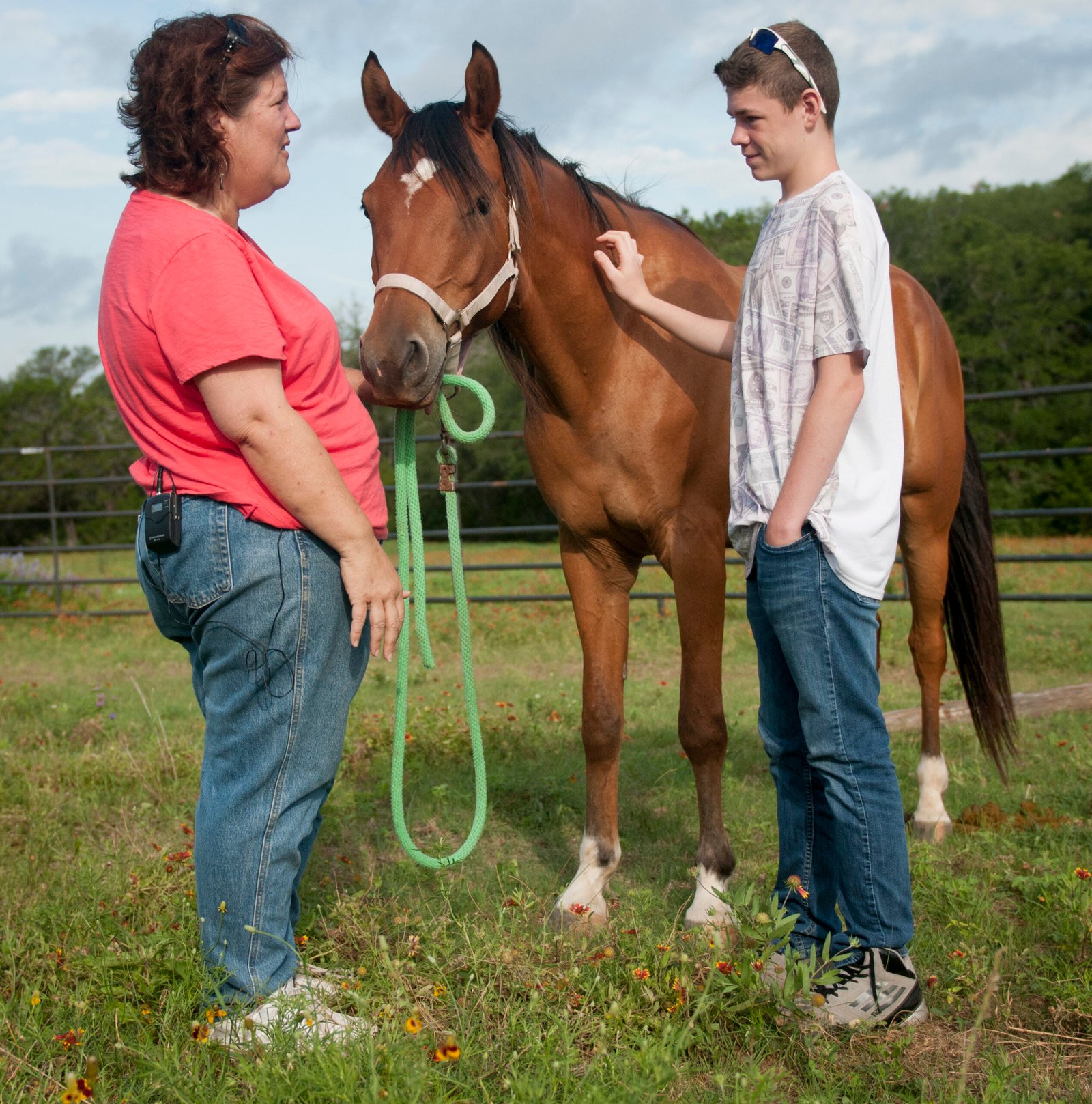 Enhancing Mental Well-being Through Horse Interaction (image credits: wikimedia)