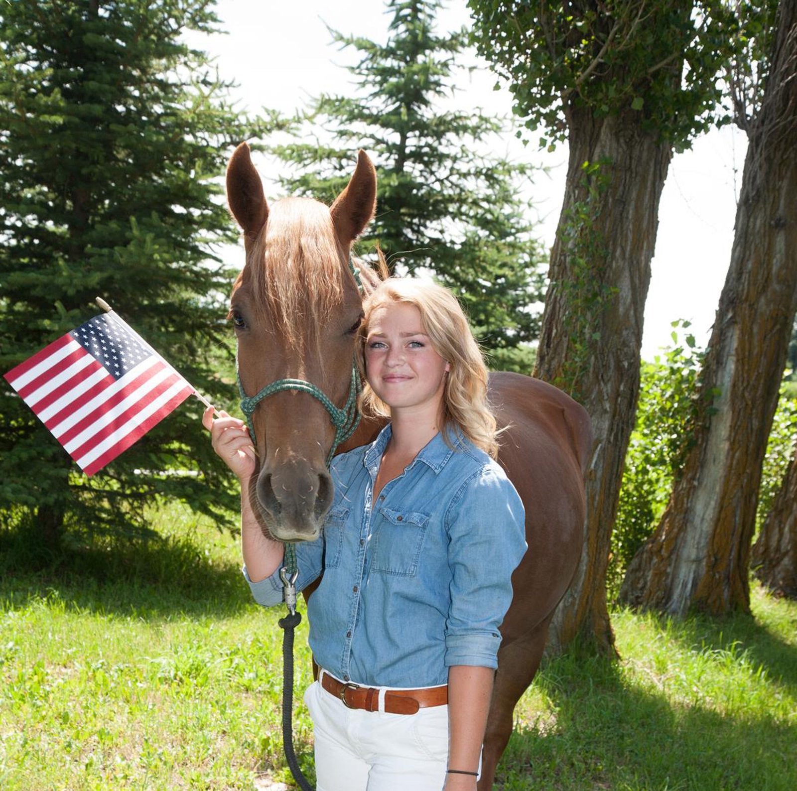 Horses as Companions: The Joy of Friendship (image credits: wikimedia)