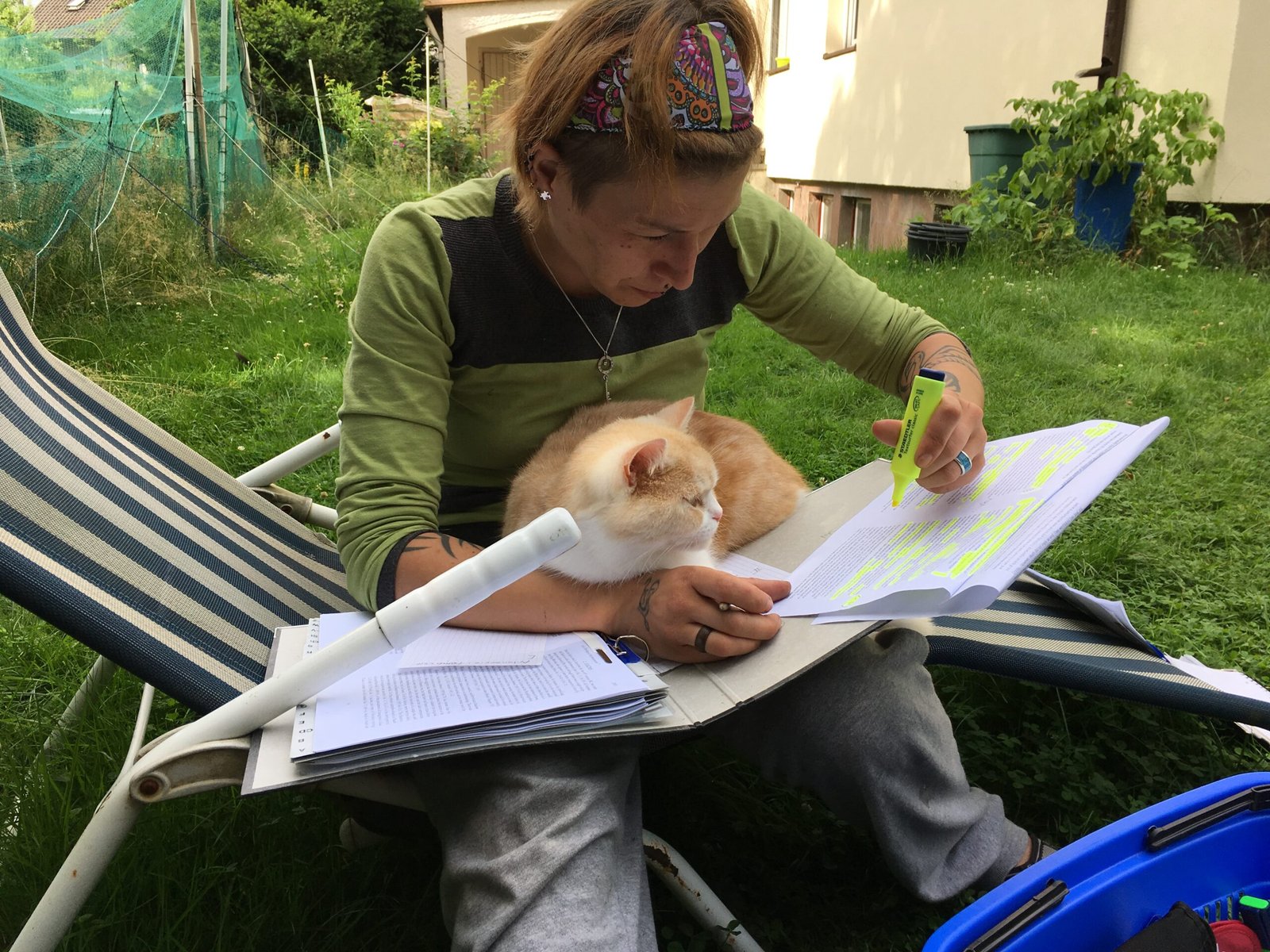 Consulting a Professional (image credits: wikimedia)