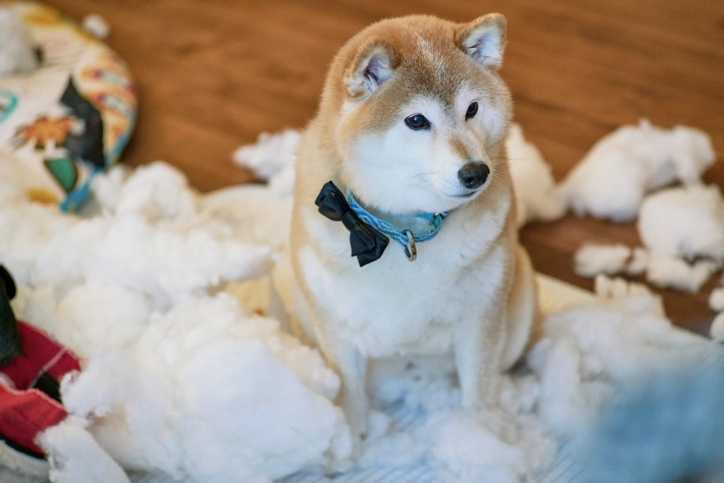 Destructive Behavior (image credits: rawpixel)