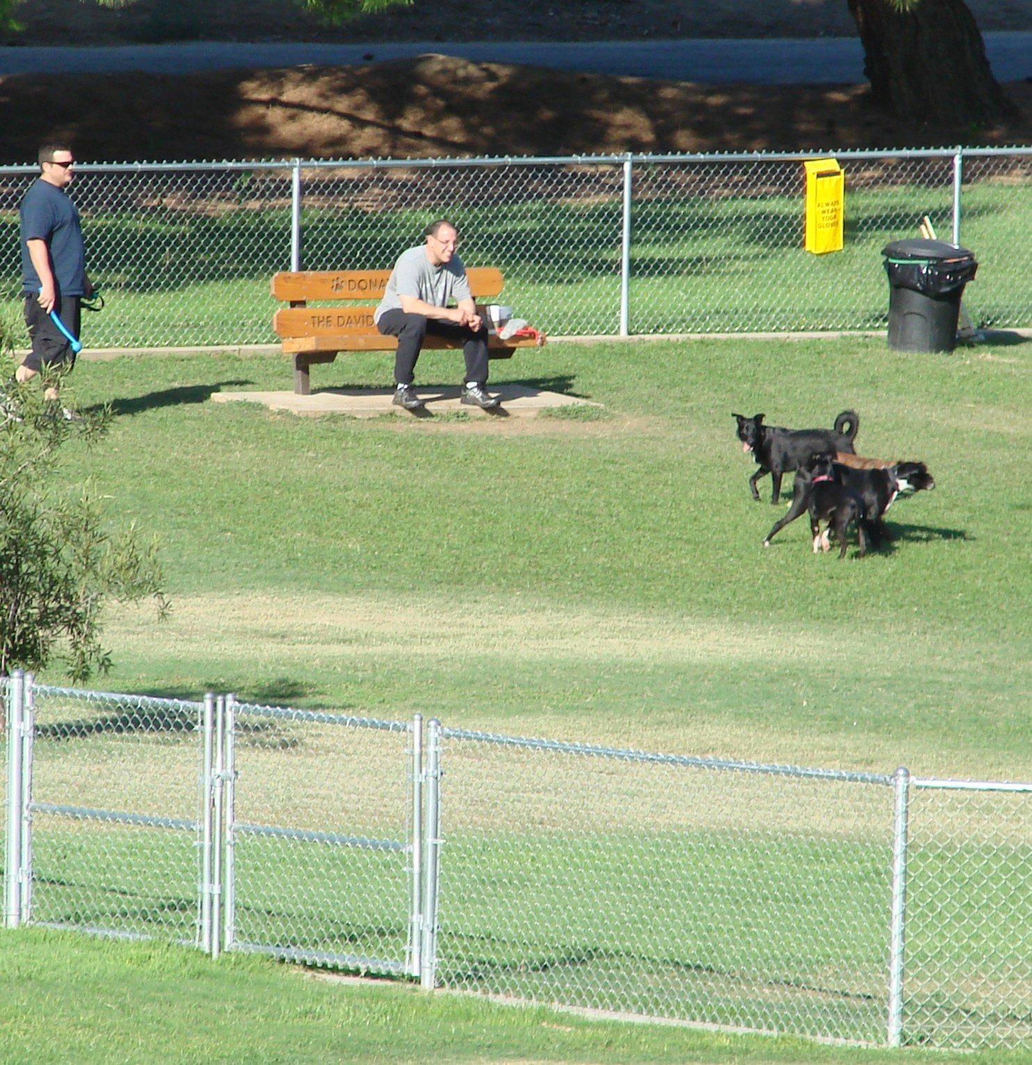 Encouraging Socialization (image credits: wikimedia)