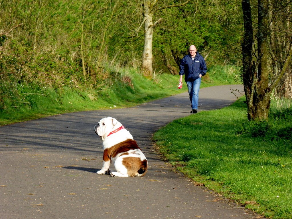 Ignoring Commands (image credits: wikimedia)