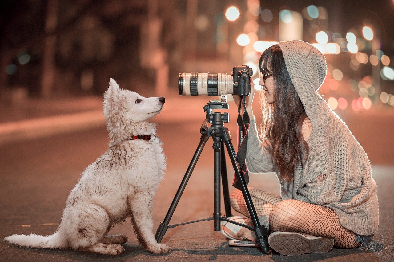 Stealing Attention (image credits: pixabay)