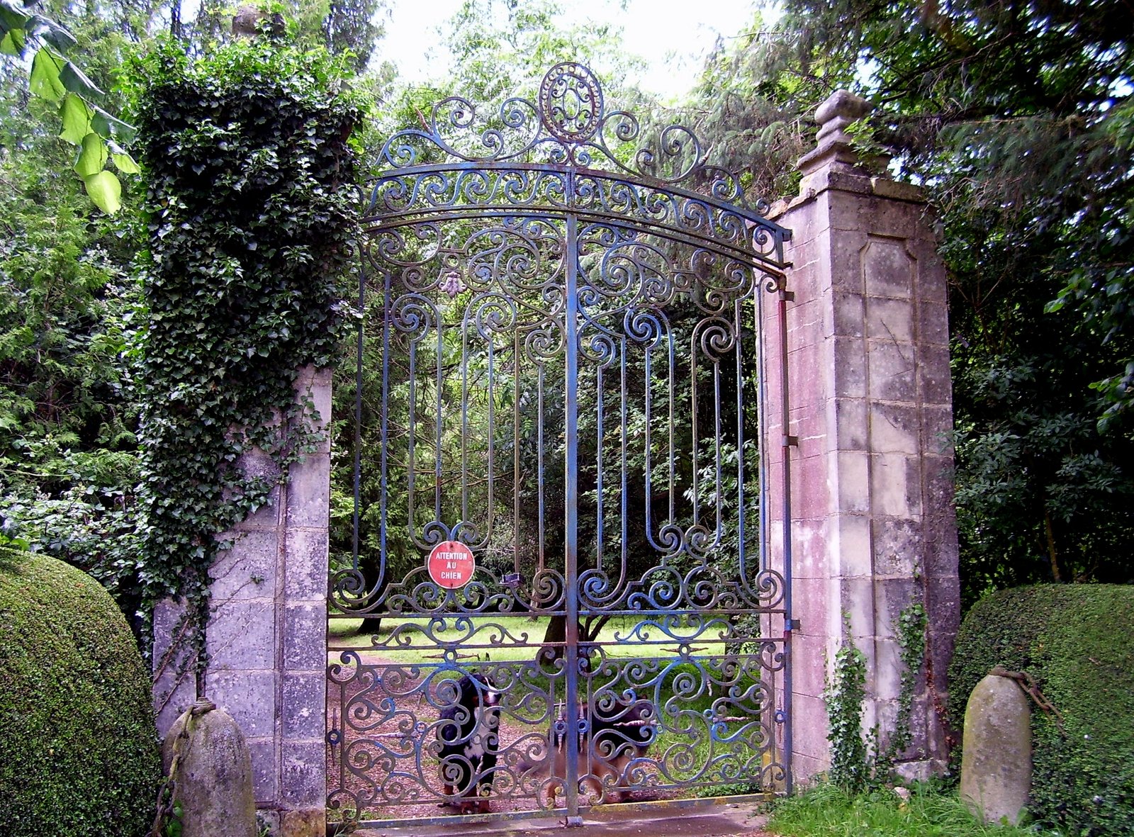 Legal and Insurance Considerations (image credits: wikimedia)