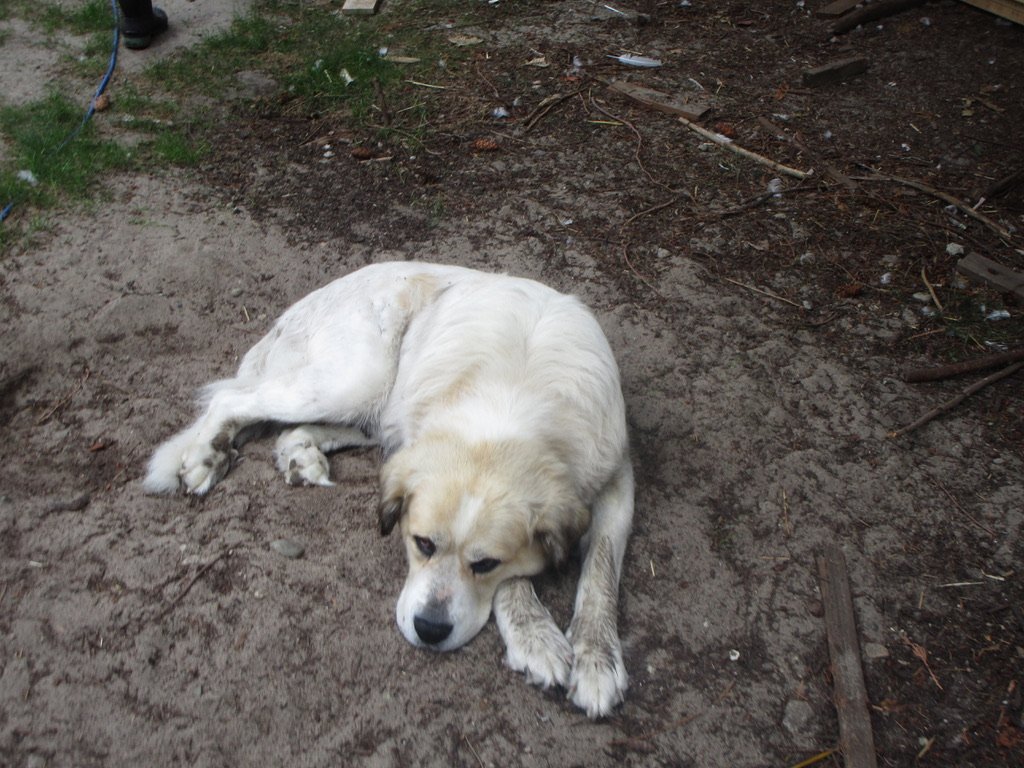 Space Requirements (image credits: wikimedia)